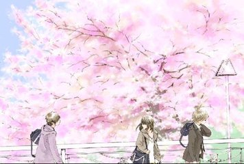 打扑克视频大全